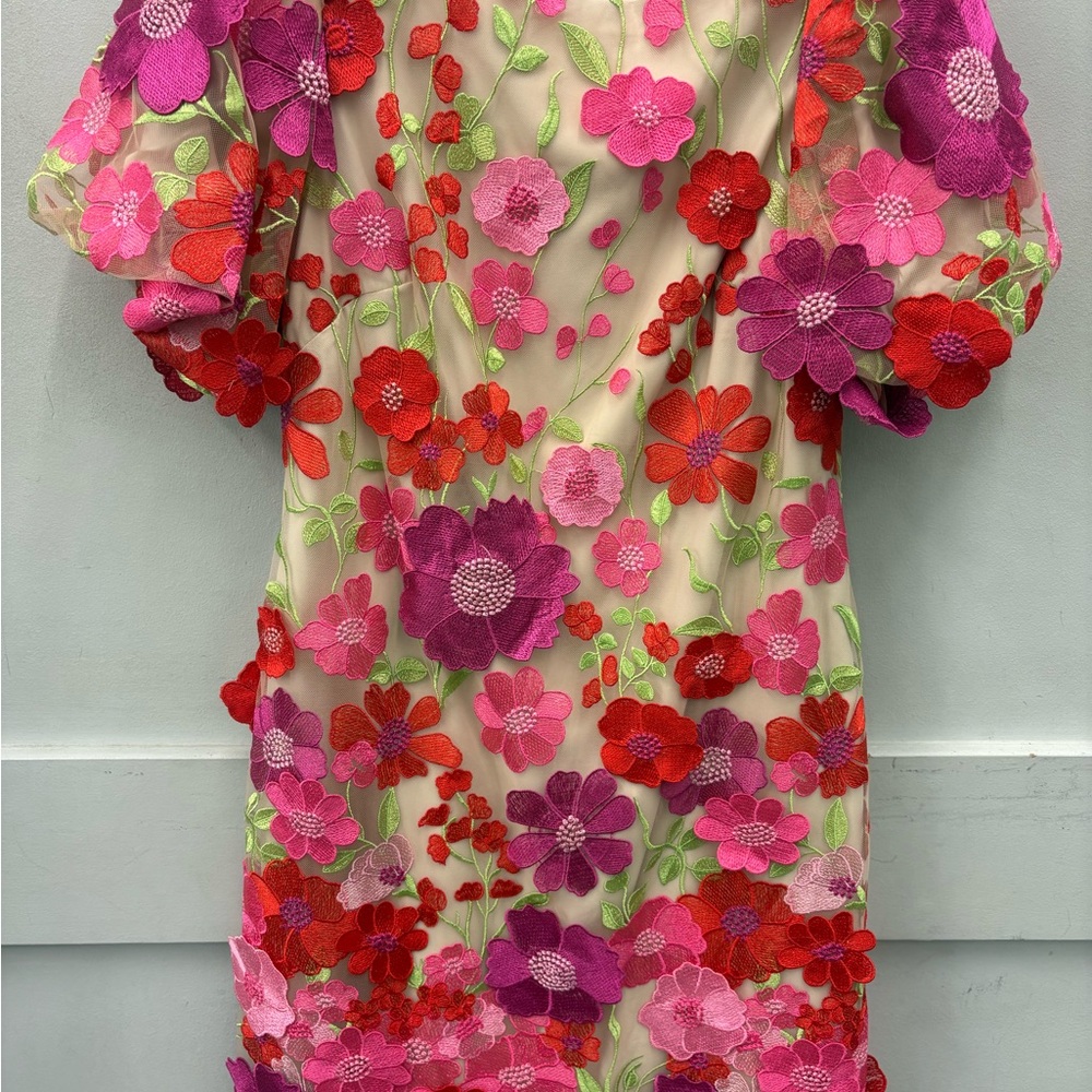 Eliza J Pink and Red Floral Kids Dress
